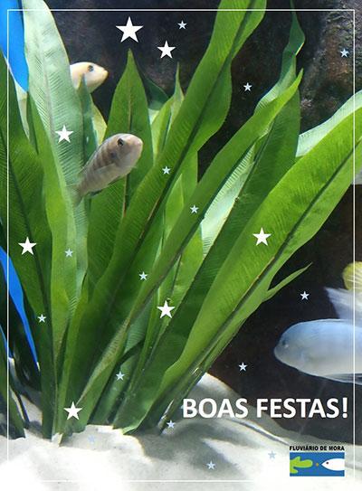 boasFestas2019