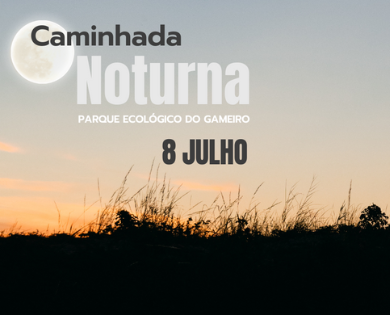 CaminhadaNoturnaPequeno