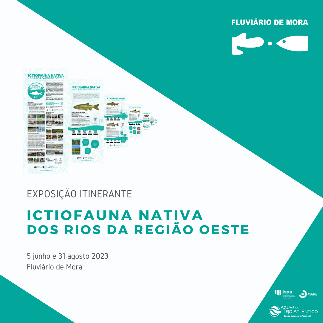 ictiofauna nativa dos rios da regiao oeste