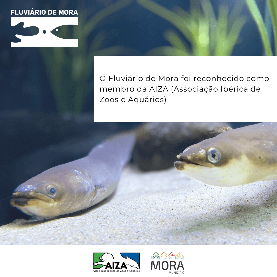 O Fluviario de Mora membro AIZA