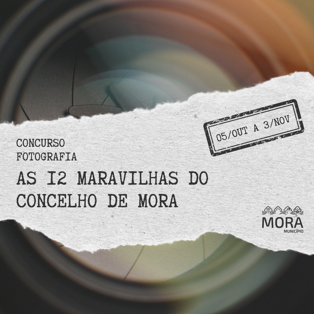 Concurso fotografia