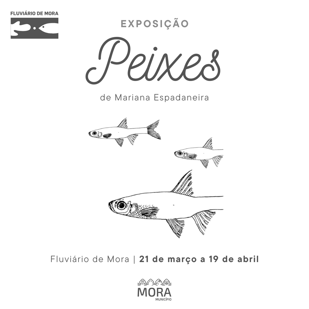 Peixes post 2024