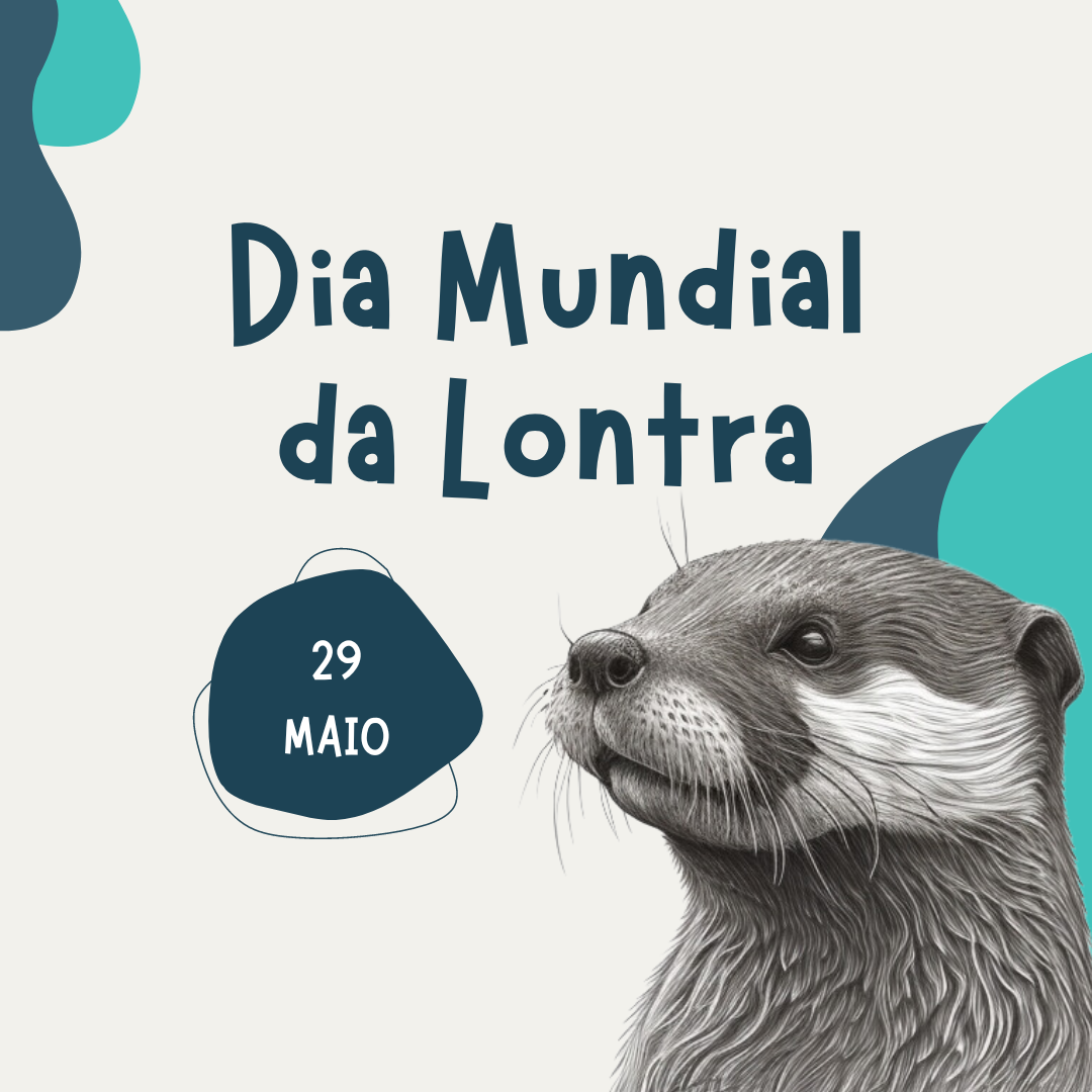 dia lontra 2024 site