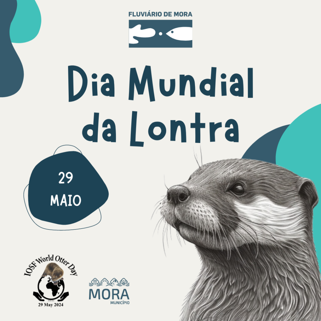 Dia Mundial da Lontra 2024