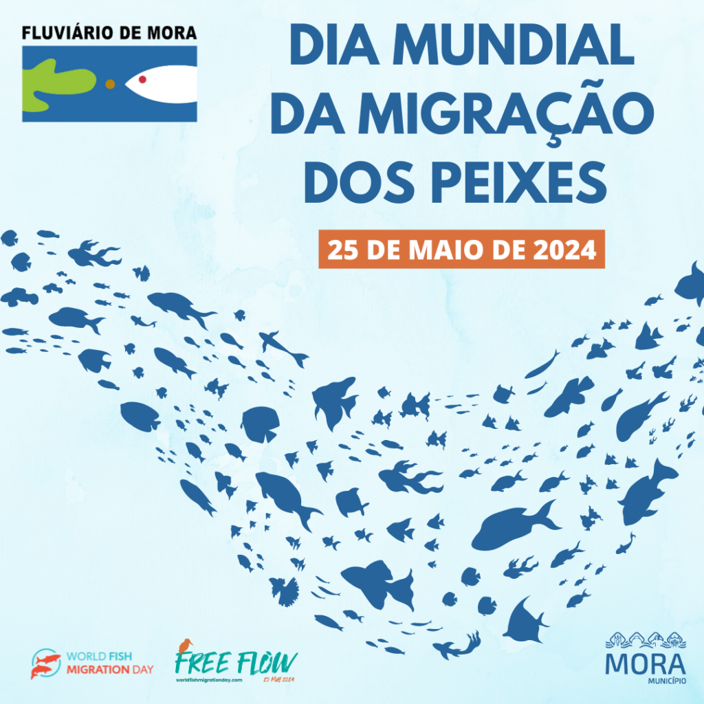 Dia Mundial da Migração dos Peixes
