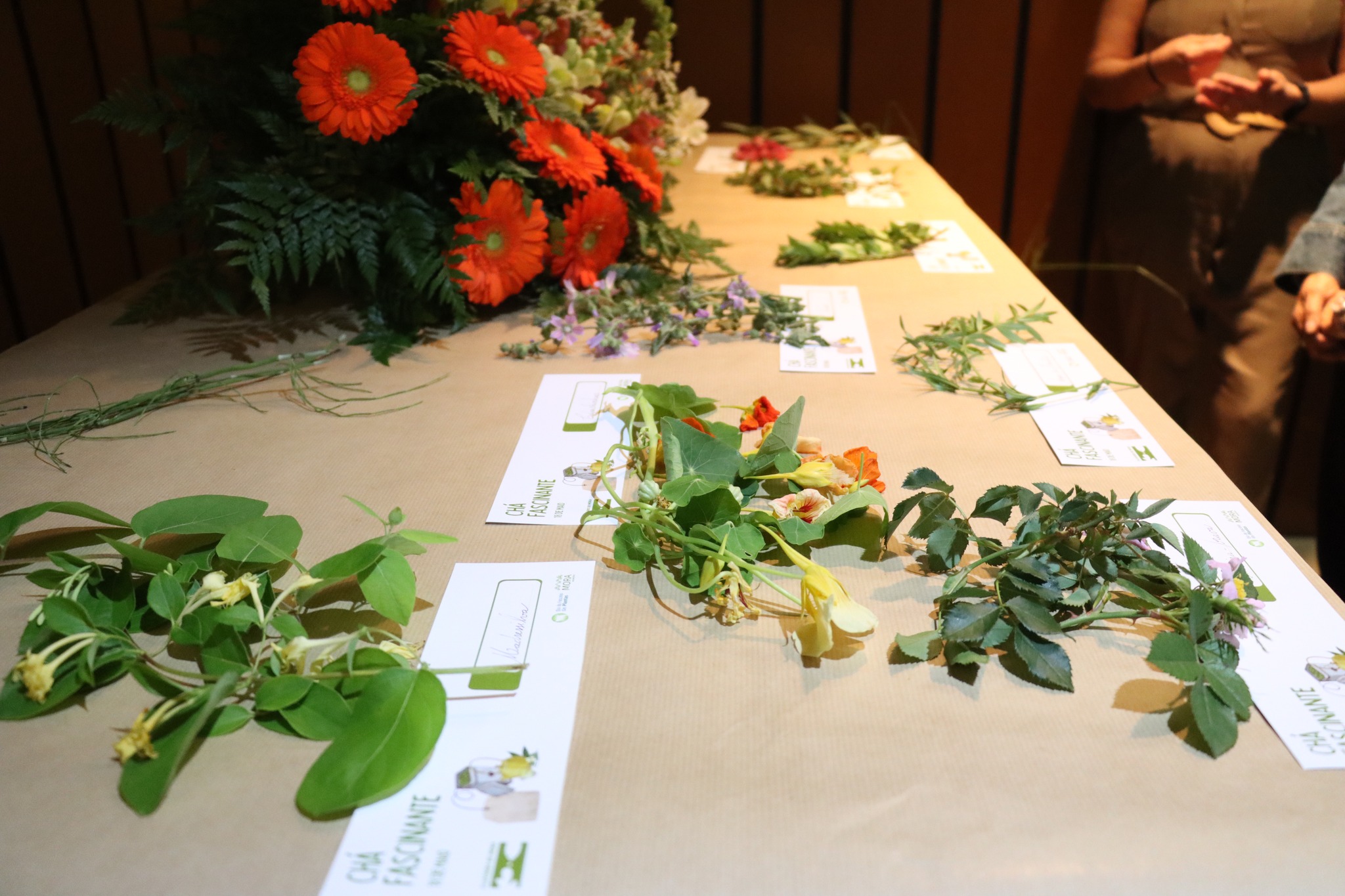 Chá Fascinante assinala o Dia Internacional dos Museus e o Dia do Fascínio das Plantas