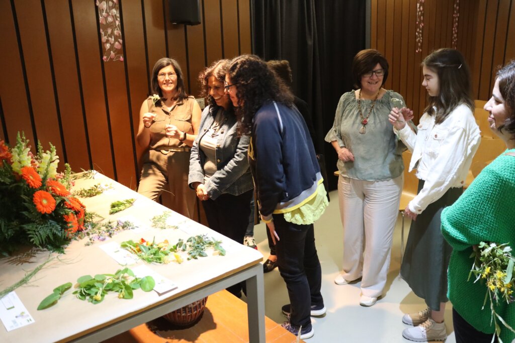 plantas04