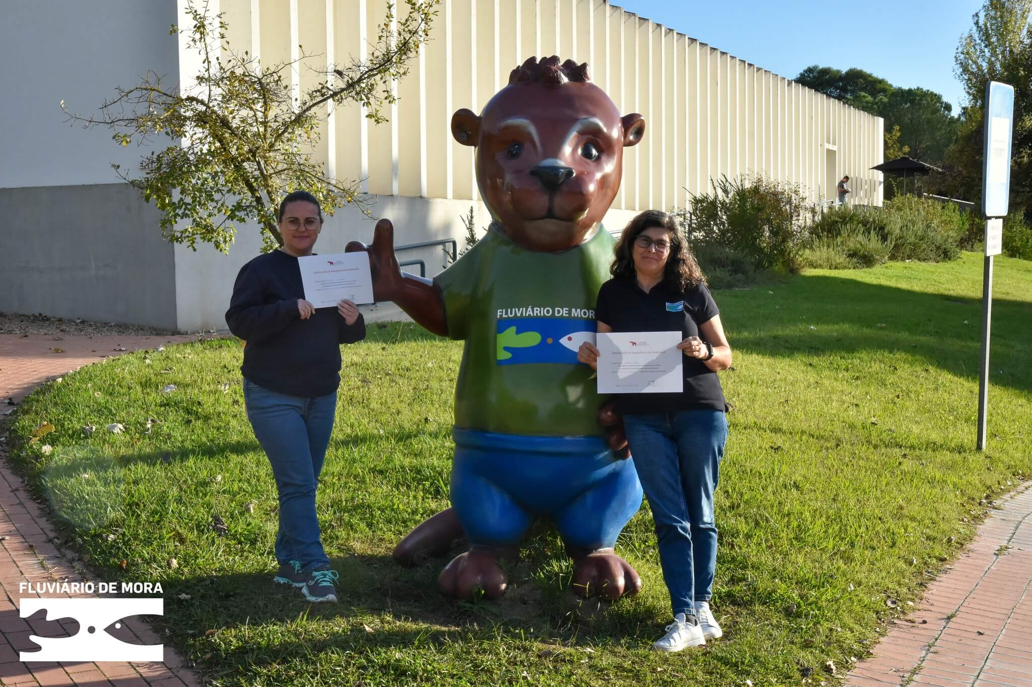 certificados