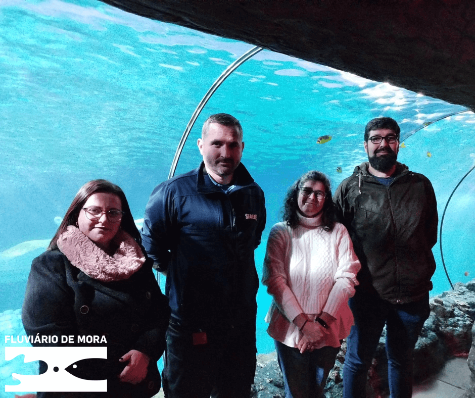 Visita Tecnica e pedagogica