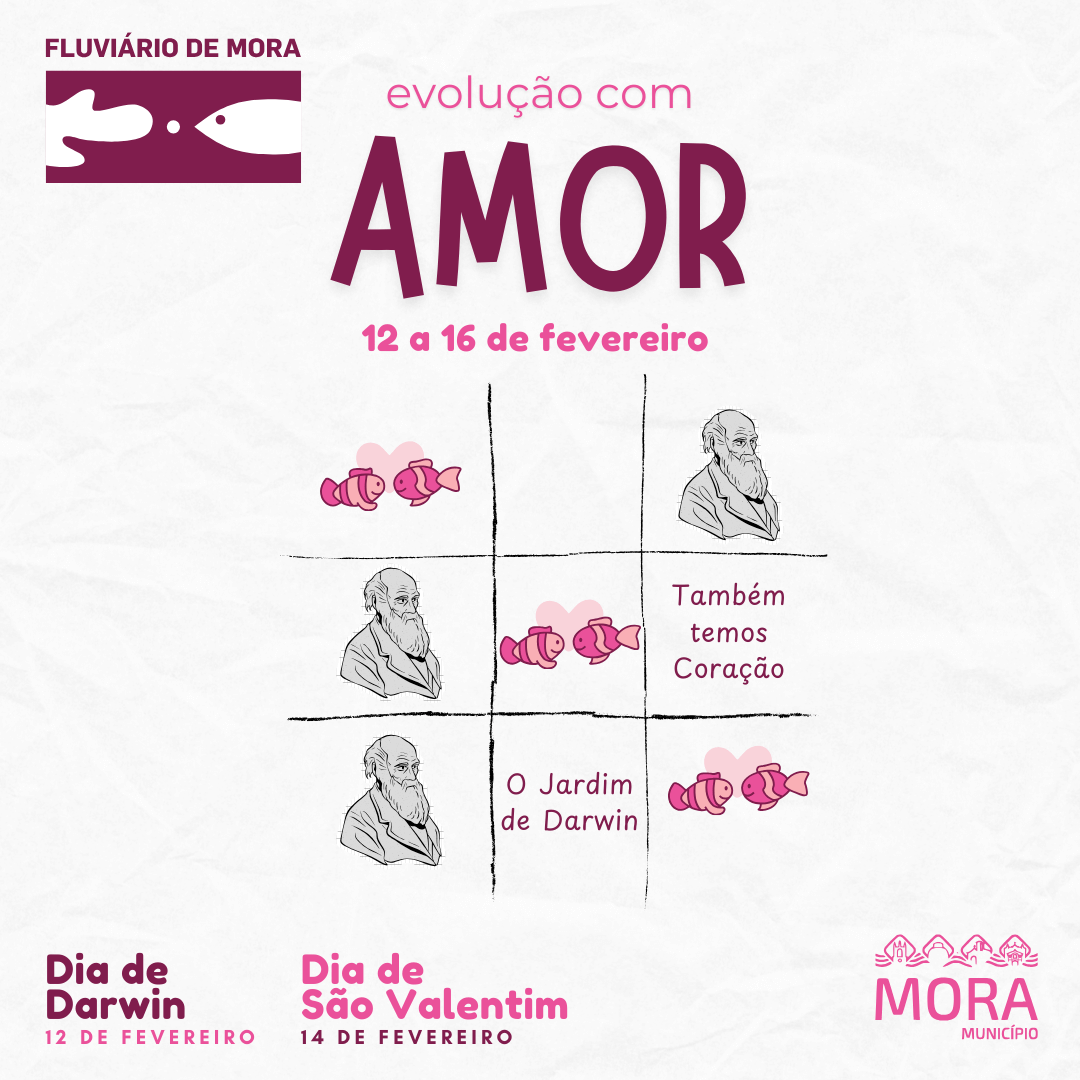 atividades fluviario darwin namorados redes