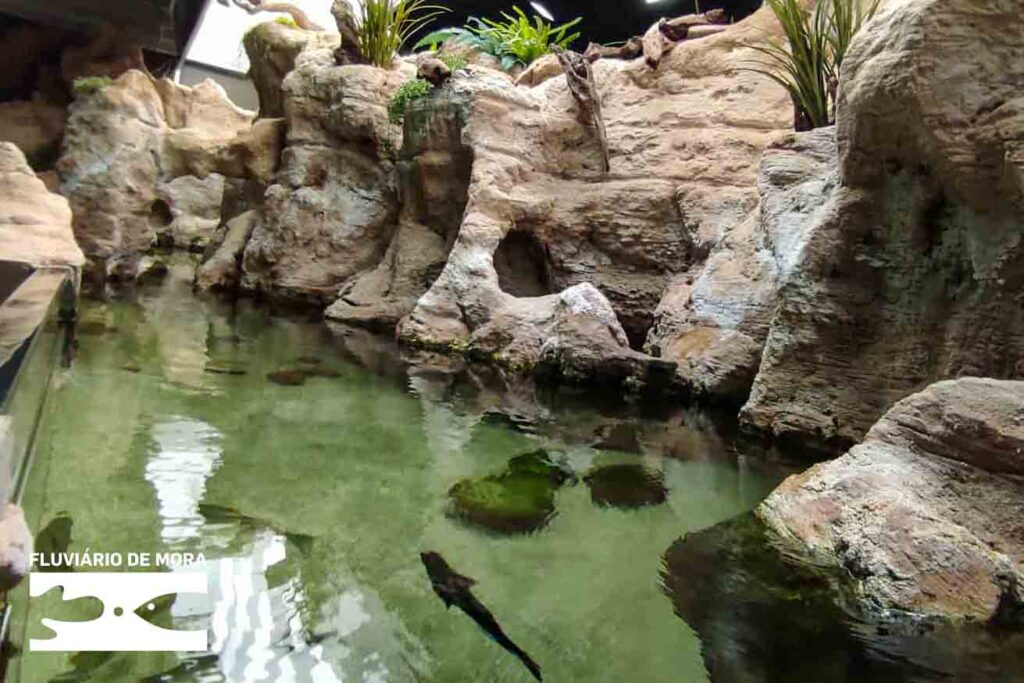 Bichinhos de Mão Cheia 1b