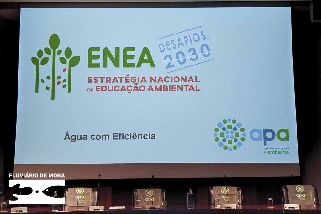 WhatsApp Image 2025 11 20 at 18.07.08