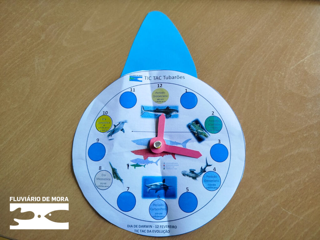 Atividades de Ferias de Carnaval 2026 Fluviario 3