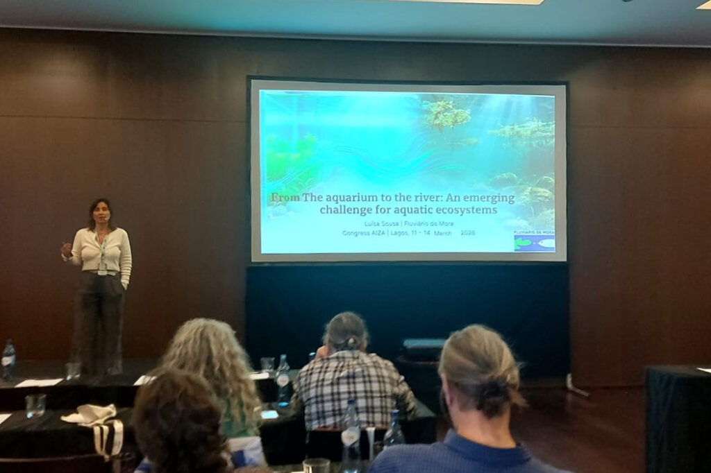 53faf370 2959 4e1d 8074 61514dd613bb