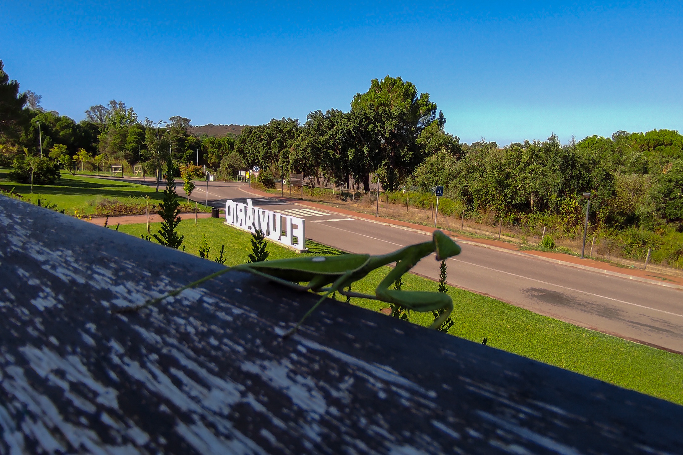 IMG 20250917 101955 3