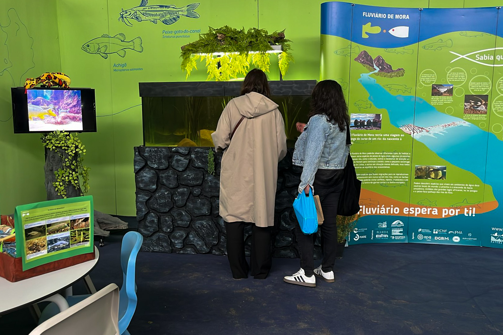 WhatsApp Image 2026 04 29 at 13.34.36 1 2