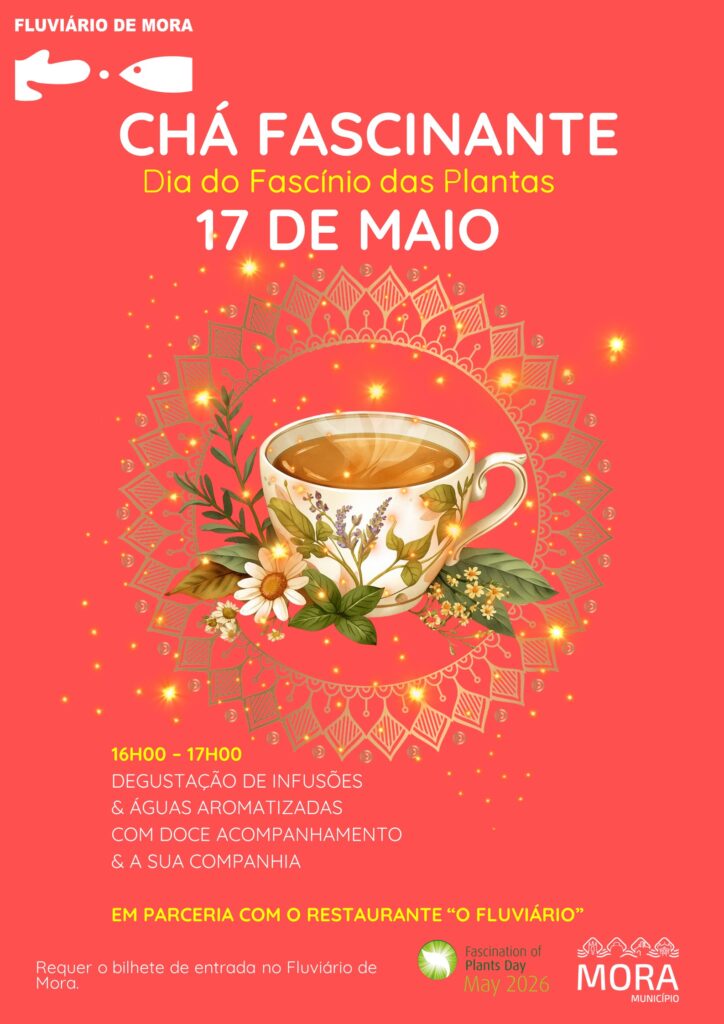 Plantas Fabulosas no evento "Chá Fascinante" Cartaz Cha Fascinante 2