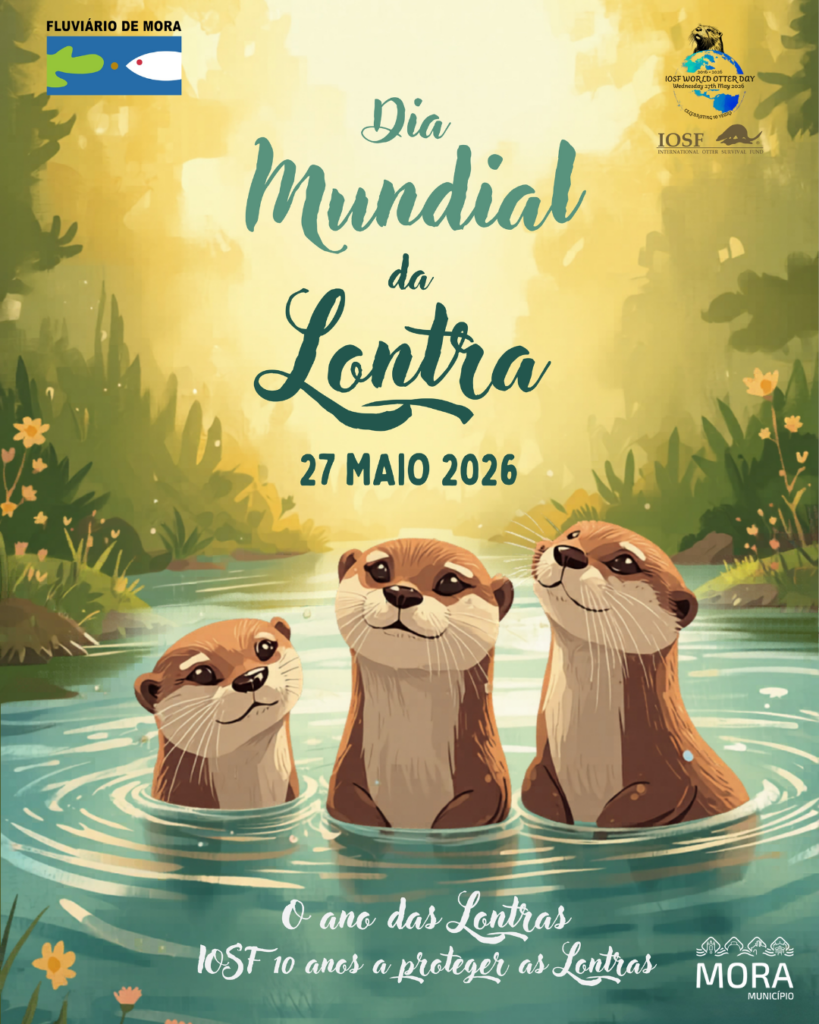 Dia Mundial da Lontra 1
