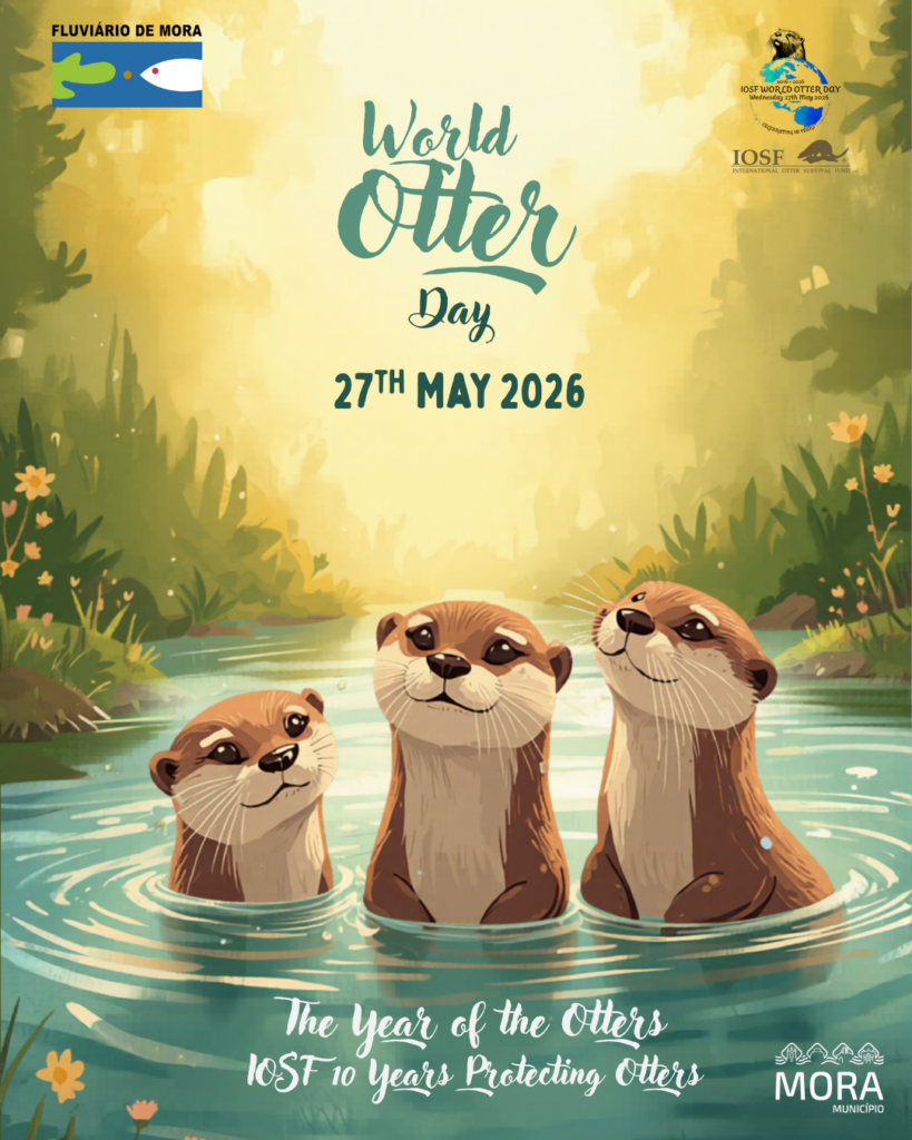 Dia Mundial da Lontra 2