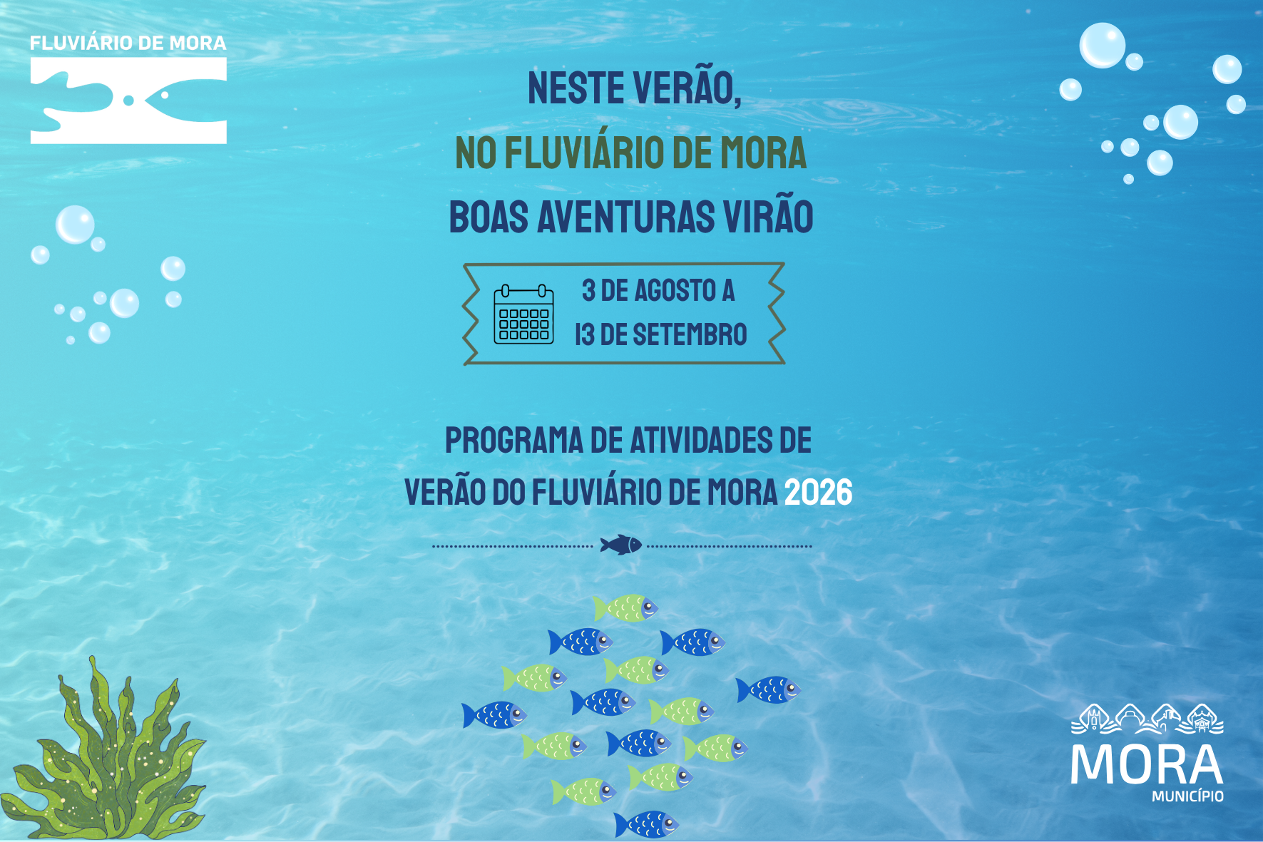 Atividades de Ferias de Verao Fluviario de Mora