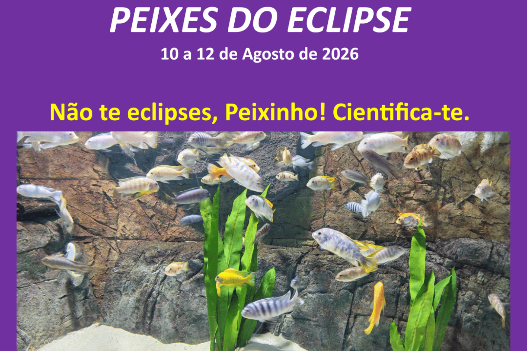 Peixes do eclipse 2