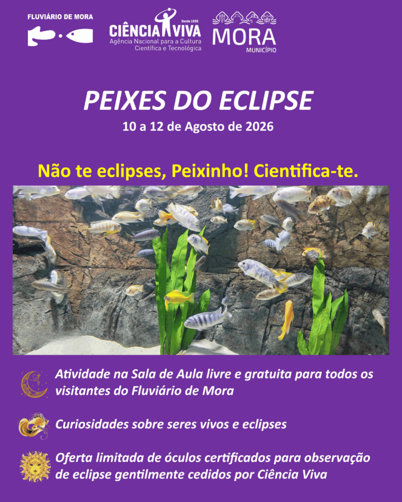 Peixes do Eclipse Peixes do eclipse